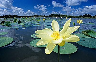 《赛博朋克2077》任务总监称删减内容是有原因的